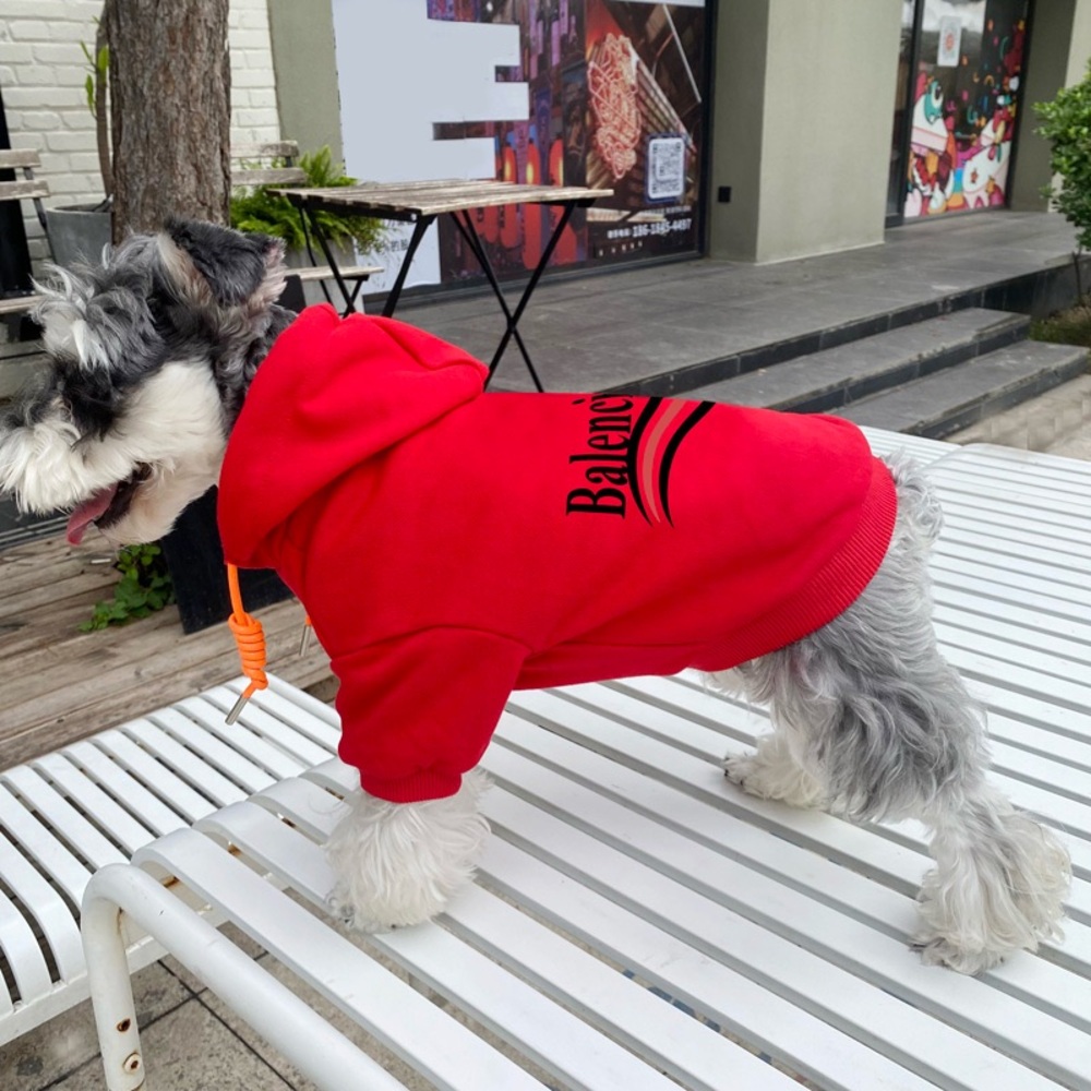 Balenci dog sweater